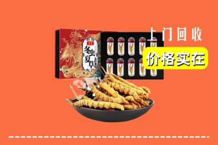 清远清城区回收冬虫夏草